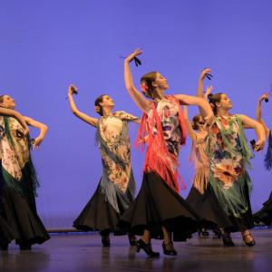 Fotografía de Talleres Danza Española (galería 2) - Conservatorio de Danza